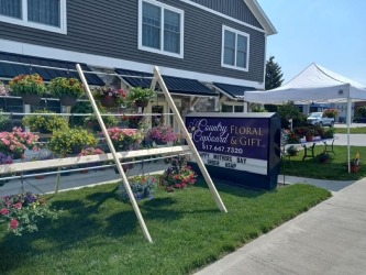 Healthy and Lush Hanging Baskets