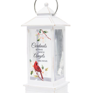 Cardinals Appear Lantern