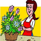 Floral Designer Tip