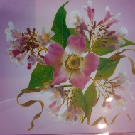 Full Size Card