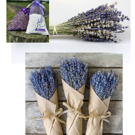 Local Lavender Bunch