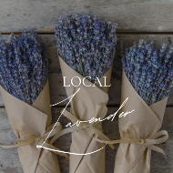 Local Lavender Bunch