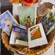 Local Artisan Greeting Card