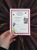 Gift Certificate