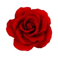 Add Roses!