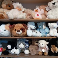 Stuffy cuteness