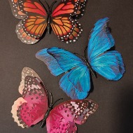 Butterfly Magnet