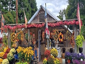 Storefront of PERNA'S PLANT
