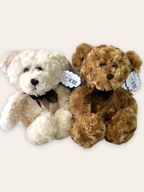 Stuffed Animal (colors vary)
