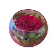 Eternal Red Rosebowl