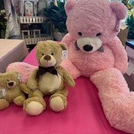 TEDDY BEARS