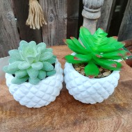 Faux Plant