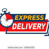 Express Delivery