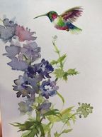 Greeting Card