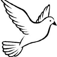 White Doves