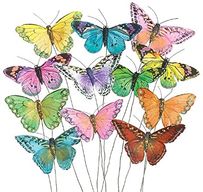 Butterflies