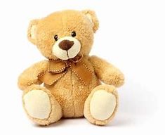 Stuffed Animal