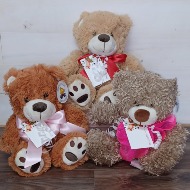 Plush Bears