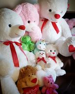 Stuffed Animal