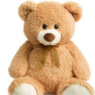 Stuffed Plush Bear