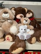 Stuffed Animal