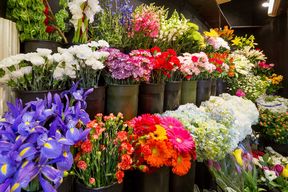 Additional Flowers