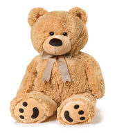 Stuffed Animal