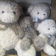 Teddy Bears