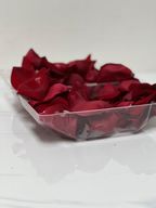 Rose Petals