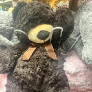 Teddy Bear