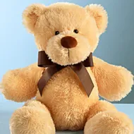 Cuddly Plush Bear