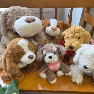 Stuffed Dog