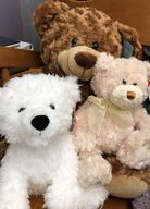 Stuffed Animal