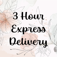 Express Delivery
