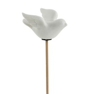 Beautiful Dove Porcelain Pic