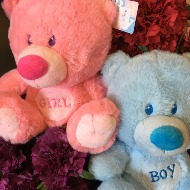 soft plush bears, pink, baby blue