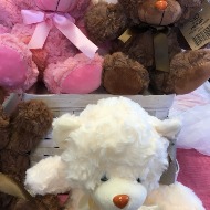 Plush, Bears,