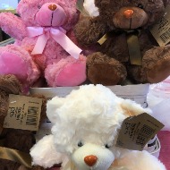 Plush, Bears,