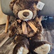 Plush Teddy Bear