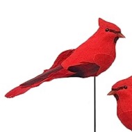 Cardinal pick