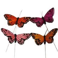 Butterfly Pick