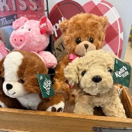 Stuffed Animal