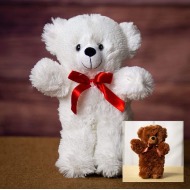 Teddy Bear