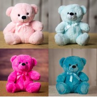 Teddy Bear 9 inch