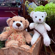 Teddy Bears