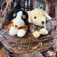 Stuffed Dogs (Variety)