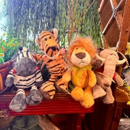 Jungle Animals