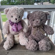 Baxter Bears