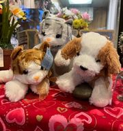 Cats and dogs