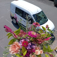 Expedited Delivery & Tip
